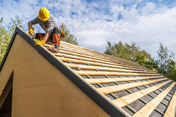 Best Roof Gutter Cleaning  in Town N Country, FL